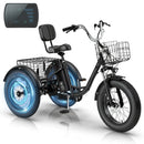 EROMMY Electric Trike for Adults,Peak 750W Brushless Motor, E-Trike with 20" x 4" Tires,LCD Display,Removable Battery, Charger,3-Wheel Electric Bicycle, Up to 70 Miles Range, 20 MPH+ Speed, Black