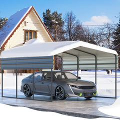 EROMMY 12 x 20 ft Carport with Galvanized Steel Roof, Sturdy Metal Multi-Use Shelter