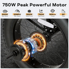 EROMMY Electric Trike for Adults,Peak 750W Brushless Motor, E-Trike with 20" x 4" Tires,LCD Display,Removable Battery, Charger,3-Wheel Electric Bicycle, Up to 70 Miles Range, 20 MPH+ Speed, Black