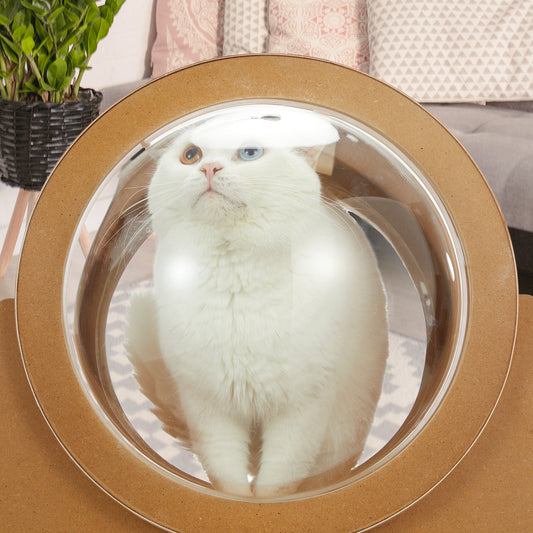 EROMMY Wooden Cat Bed Capsule, Large Transparent Capsule Indoor Cat House