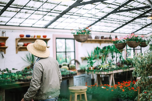 How to Build a DIY Greenhouse: What to and Not to Do