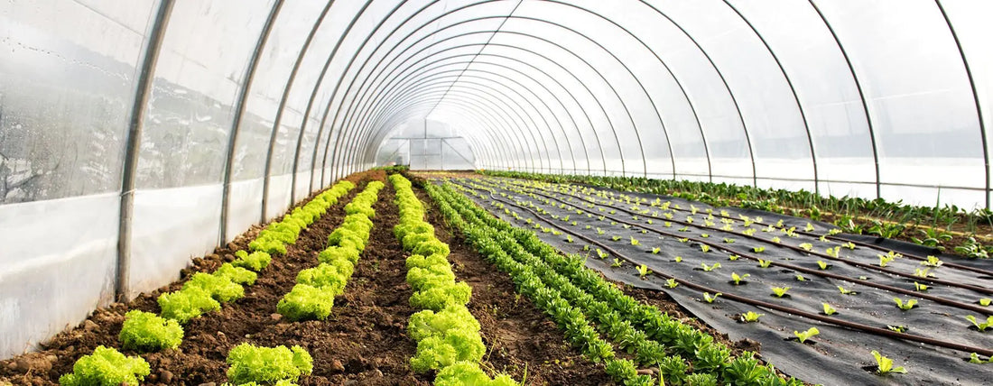 Portable Greenhouses