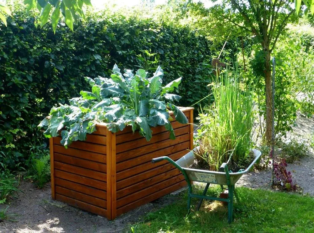 Garden Raised Bed