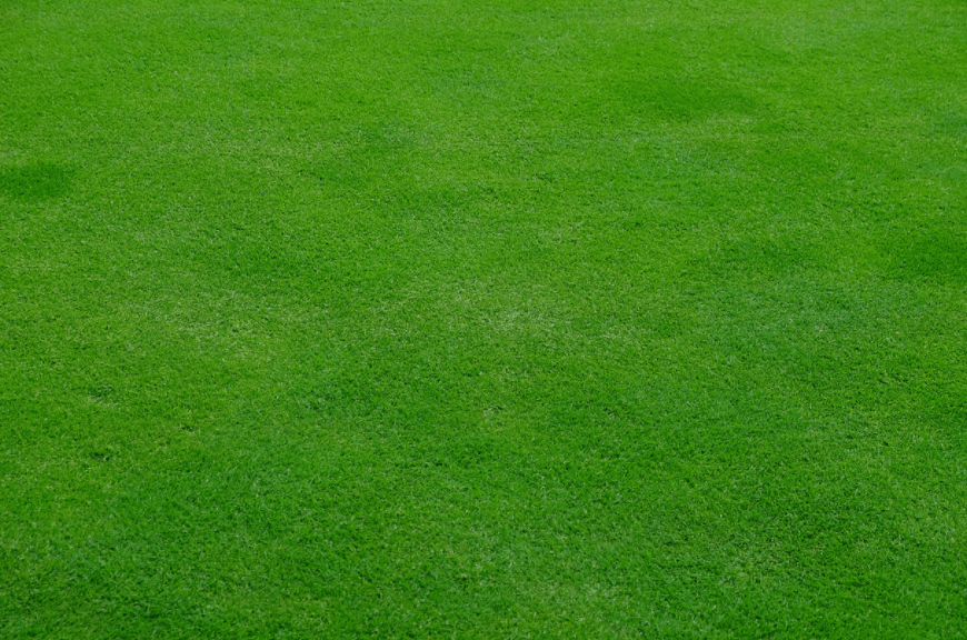 Artificial Lawn