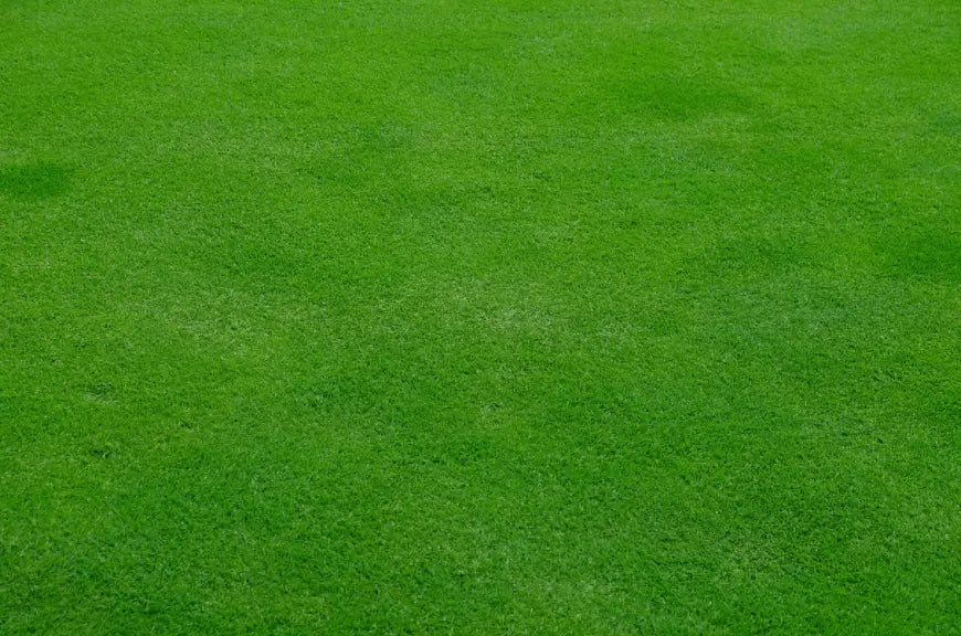 Artificial Lawn