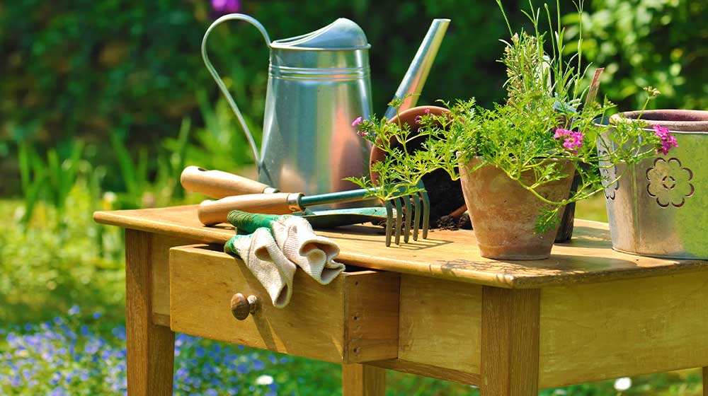 Potting Bench