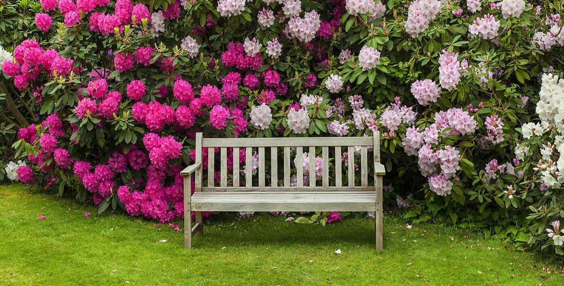 Garden Benches