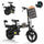 Foldable Electric Bike