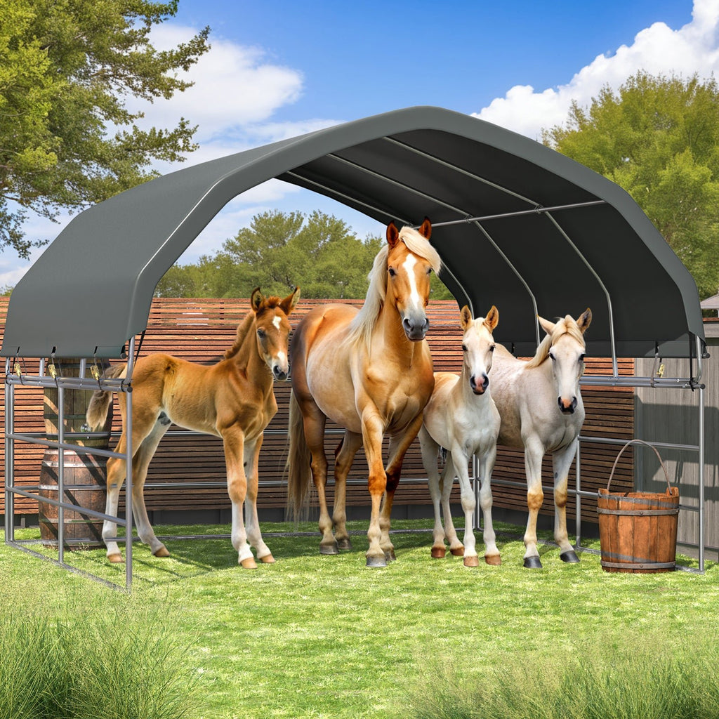 EROMMY 12'x12' Heavy Duty Round Style Canopy With Shade Shed Kit for L ...