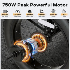 EROMMY Electric Trike for Adults,Peak 750W Brushless Motor, E-Trike with 20" x 4" Tires,LCD Display,Removable Battery, Charger,3-Wheel Electric Bicycle, Up to 70 Miles Range, 20 MPH+ Speed, Black