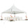 20 x 20  Peaked Tent