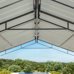 EROMMY Metal Carport 10'x16' Heavy Duty, Multi-Use with Powder-Coated Steel Roof and Frame, Outdoor Carport Canopy